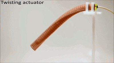 twisting actuator